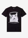 Undiagnosed Cat T Shirt By Call Your Mother T Shirt Trending US Fan Art Style